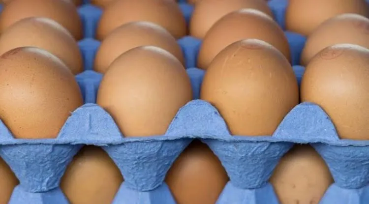 تناول البيض وراء الموت المبكر للشباب