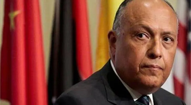 وزير الخارجية المصرية: مصر ملتزمة بتعهداتها في الوثيقة الموقعة بـ"قمة العُلا".