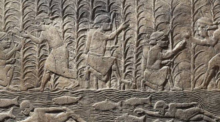 يوم الاحد يوم الشمس (٣)