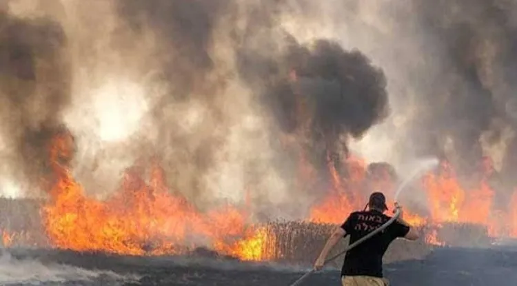 عشرات ناقلات الوقود تحترق بظروف غامضة في أفغانستان قرب الحدود الإيرانية