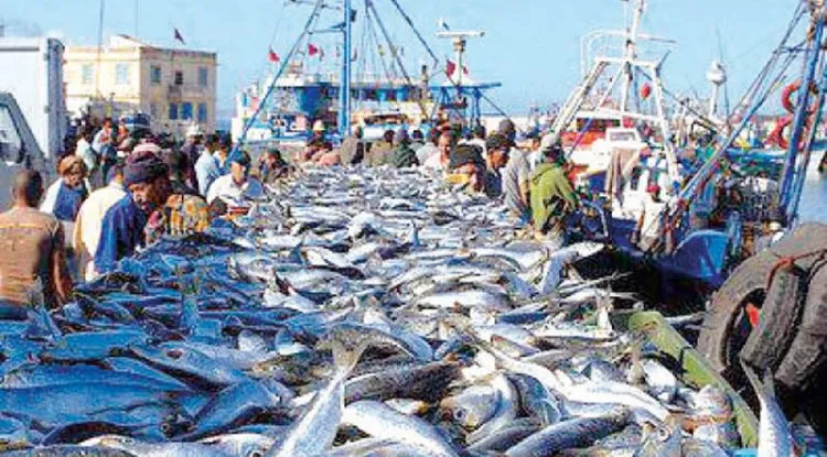 بحارة تونس يغلقون ميناءين بسبب تجاهل مطالبهم