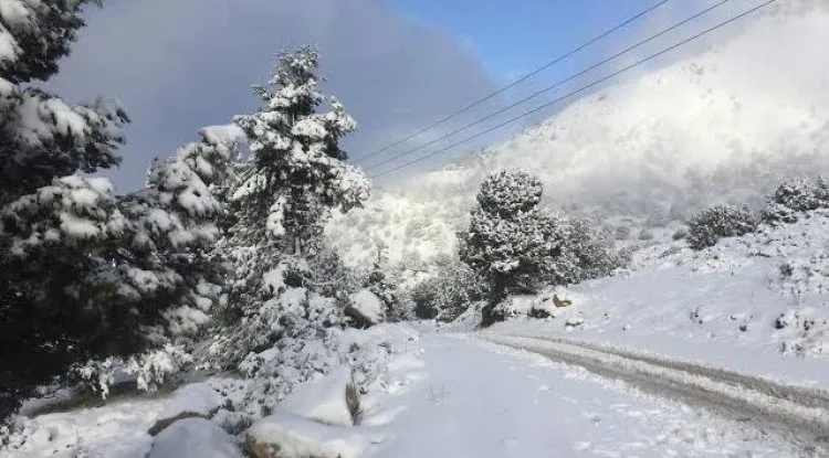 عاصفة ثلجية قوية تضرب المدن والبلدات السورية