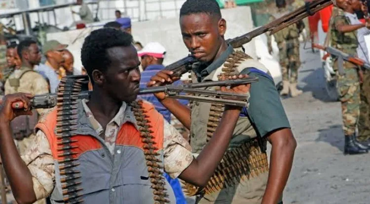 الصومال: الإمارات تريدنا مثل ليبيا واليمن وتسعى لنشر الفوضى