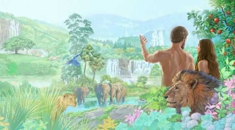 في اصل التكوين الانساني الظاهري