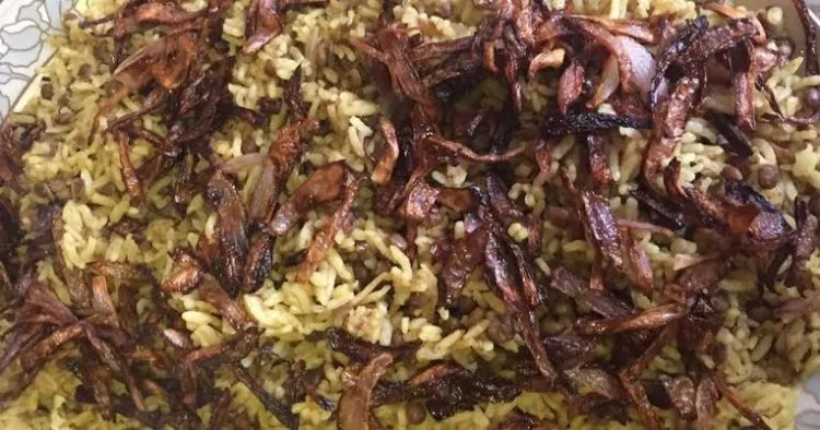 المجدرة الفلسطينية بالبرغل