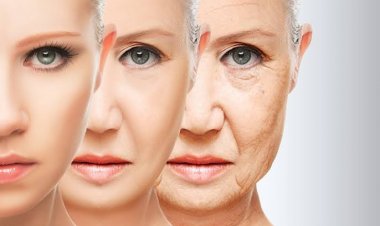 هل اكتشف العلماء أخيرا إكسير البقاء شابا ؟