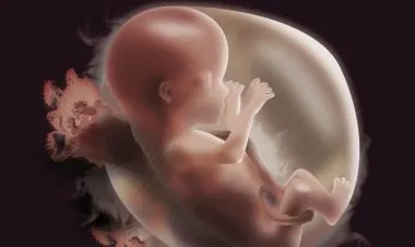 مربية روبوتية ترعى الجنين داخل رحم اصطناعية