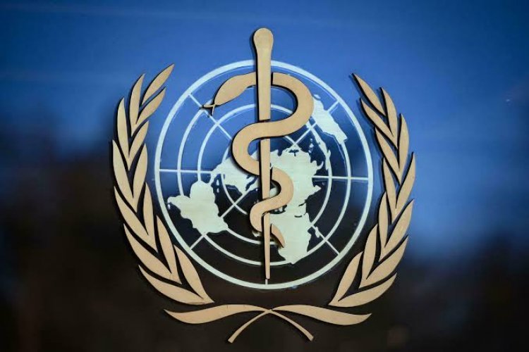 فيروس كورونا: منظمة الصحة العالمية تقول إن أوروبا تدخل مرحلة وقف إطلاق نار في مواجهة كوفيد-19