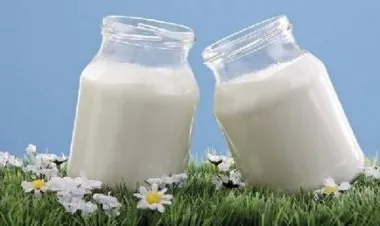 طبيب يحدد أفضل الأوقات لتناول منتجات الألبان المخمرة