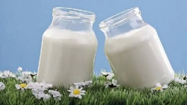 طبيب يحدد أفضل الأوقات لتناول منتجات الألبان المخمرة