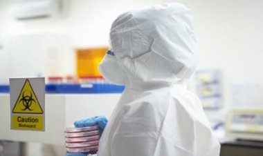 البنتاغون يكشف عن دعمه 46 مختبرا بيولوجيا في أوكرانيا على مدى 20 عاما