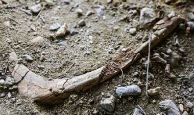 اكتشاف أحد أقدم المدافن الإسلامية في بلاد الشام