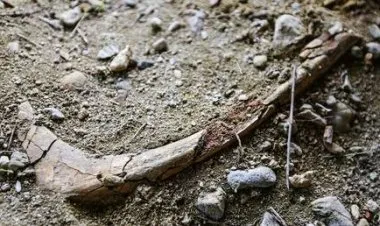 اكتشاف أحد أقدم المدافن الإسلامية في بلاد الشام