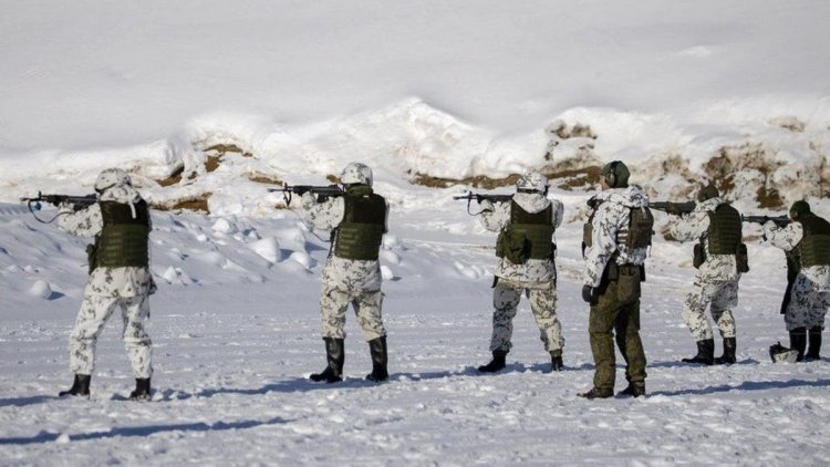 فنلندا تقرر بناء سياج على حدودها مع روسيا
