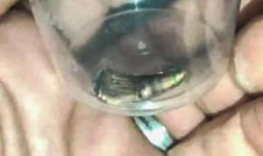 النائب العام الفلسطيني: نرفض تسليم رصاصة اغتيال أبو عاقلة للاحتلال