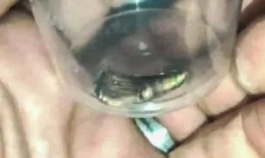 النائب العام الفلسطيني: نرفض تسليم رصاصة اغتيال أبو عاقلة للاحتلال