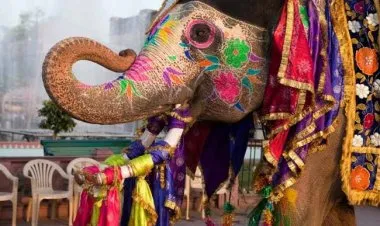 الهند تصبح خامس أكبر اقتصاد في العالم