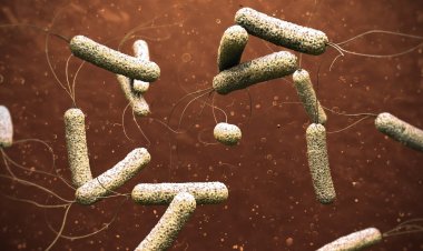 الأونروا في زمن الكُوليرا...