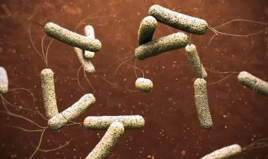 الأونروا في زمن الكُوليرا...