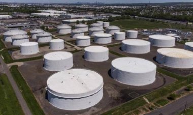 مناسف بايدن . 