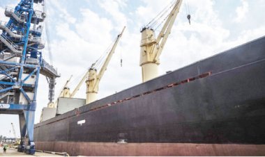 اجتماع بين الأمم المتحدة وروسيا بشأن تصدير الأغذية والأسمدة للأسواق العالمية