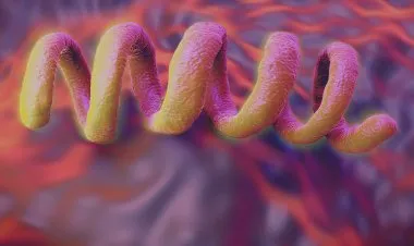 الإيدز والزهري ومواطن الشبه بينهما