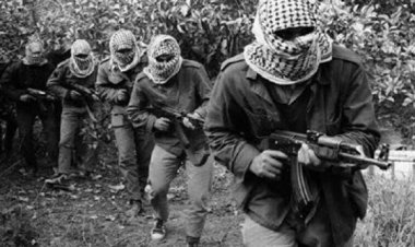 الثورة الفلسطينية.1. (من الحلم إلى الوجود)