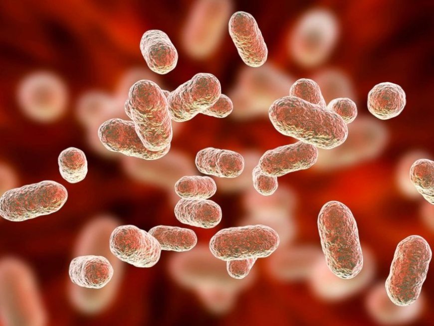 بكتيريا الأمعاء النافعة.. كيف نحفزها؟