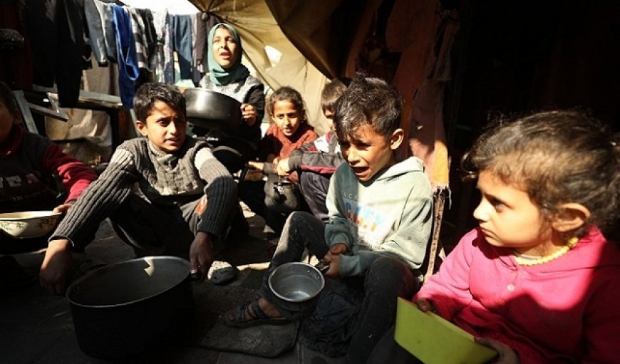 قتل الجياع وقصف المساعدات.. نهج إسرائيلي متعمد لتكريس المجاعة في غزة