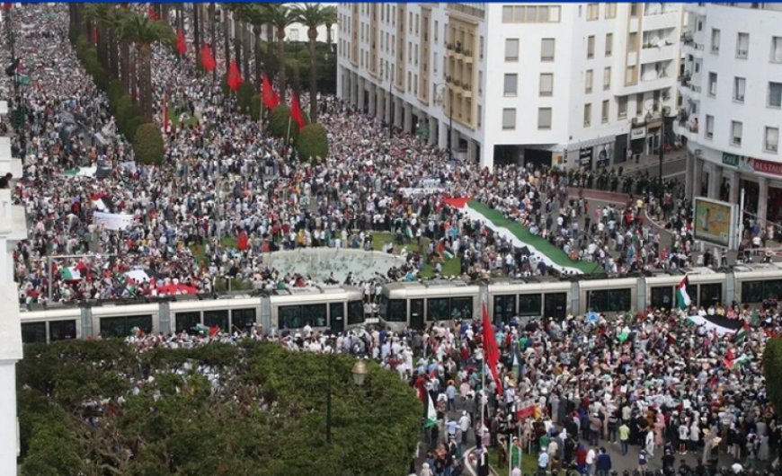 آلاف المتظاهرين في المغرب يطالبون بفتح المعابر ووقف الحرب بغزة 