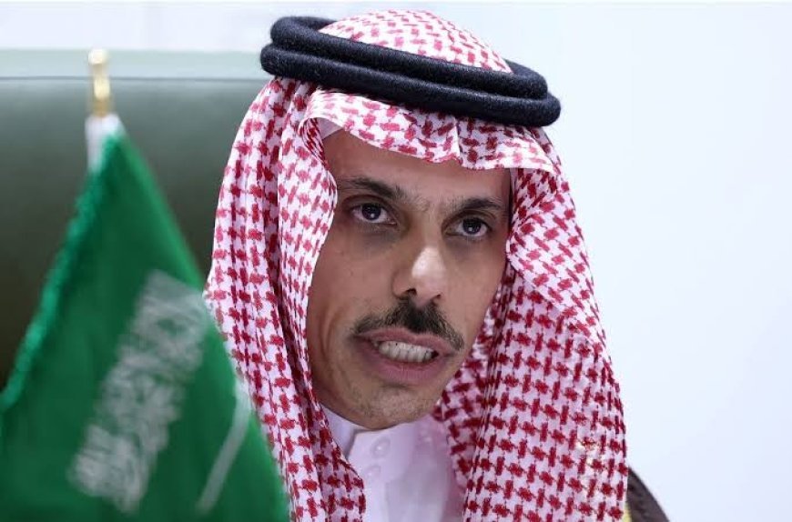 وزير خارجية السعودية:الجهود المبذولة لوقف إطلاق النار في غزة غير كافية