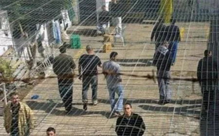 الاحتلال يجبر محامي الأسرى على ارتداء سوار يحمل العلم الإسرائيلي