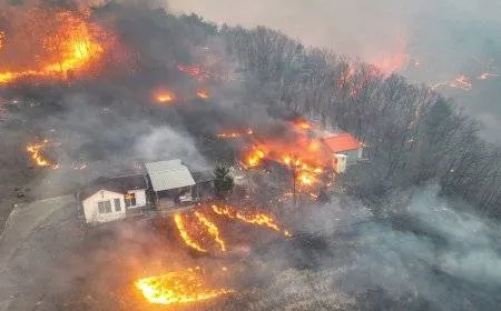 توسع حرائق الغابات بكوريا الجنوبية وأوامر إخلاء