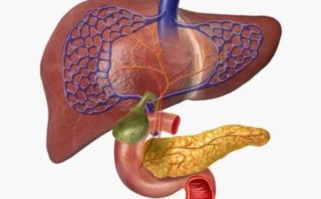 تقنية الطباعة الحيوية ثلاثية الأبعاد قد تشكل مستقبل علاج مرض السكري
