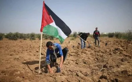 مركز الإحصاء الفلسطيني: الاحتلال استولى على 46 ألف دونم خلال 2024