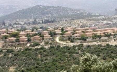 هيئة مقاومة الجدار والاستيطان: الاحتلال يستولي على 52 ألف دونم منذ بدء العدوان على غزة