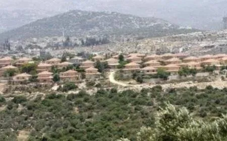 هيئة مقاومة الجدار والاستيطان: الاحتلال يستولي على 52 ألف دونم منذ بدء العدوان على غزة