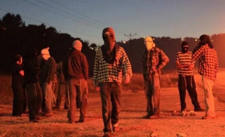 مستوطنون يعتدون على مواطن ومتضامن في الأغوار