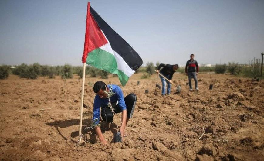 مركز الإحصاء الفلسطيني: الاحتلال استولى على 46 ألف دونم خلال 2024
