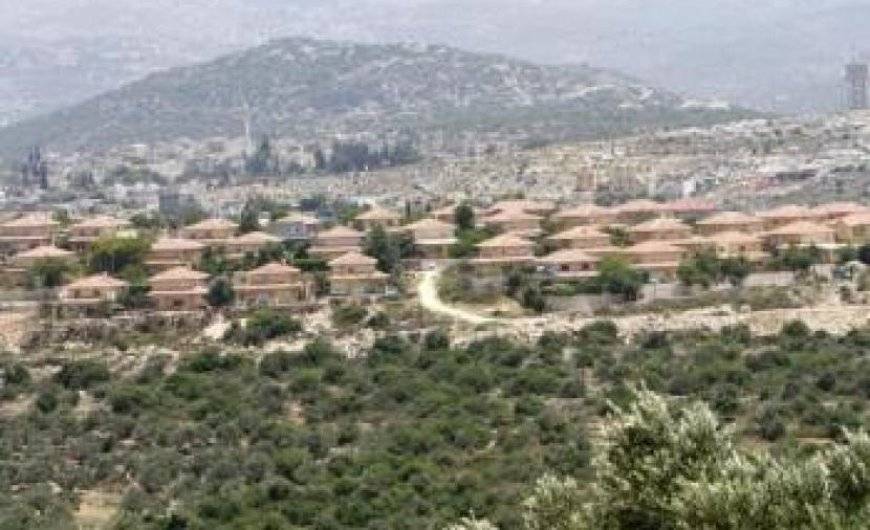 هيئة مقاومة الجدار والاستيطان: الاحتلال يستولي على 52 ألف دونم منذ بدء العدوان على غزة