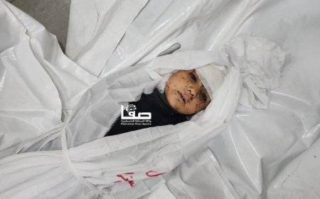الإعلام الحكومي في غزة: الاحتلال قتل 490 طفلاً خلال الـ20 يوماً الماضية شهيداً
