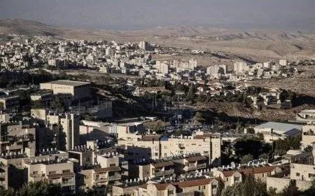 الاحتلال يستولي على 57 دونما من أراضي بيت لحم