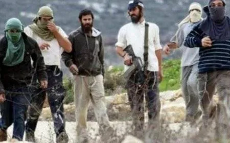 368 انتهاكًا ارتكبها الاحتلال والمستوطنون في سلفيت الشهر الماضي