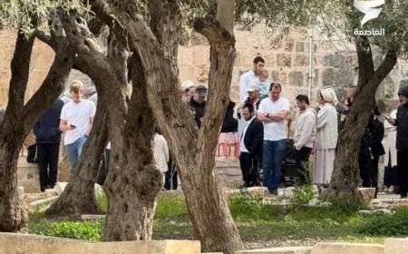 مؤسسة القدس الدولية: الأقصى دخل مرحلة استباحة لم يشهد لها مثيلًا منذ احتلاله