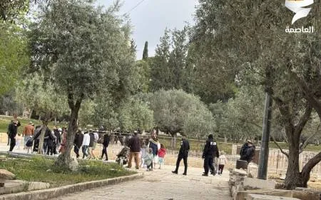 مستوطنون يقتحمون الأقصى ويؤدون طقوسًا تلمودية
