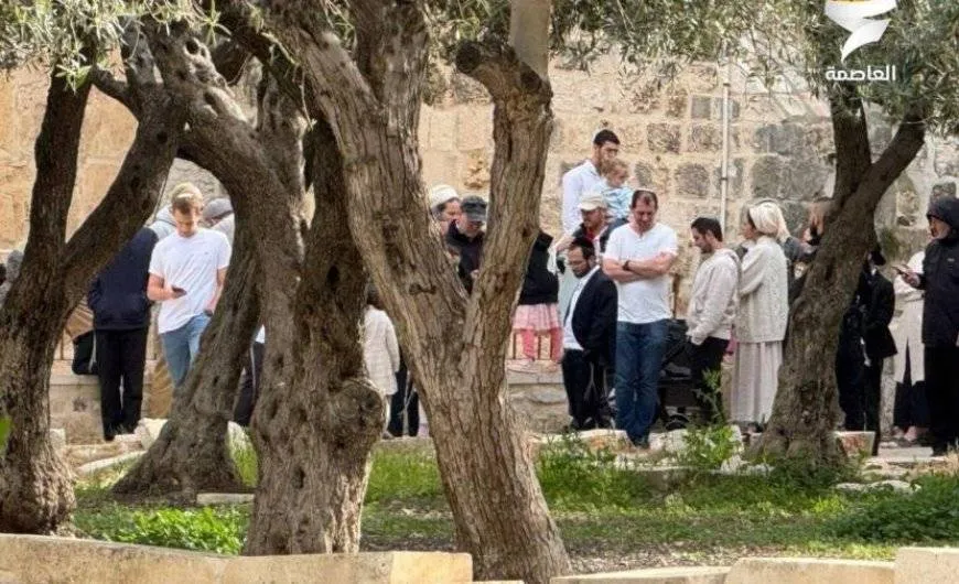 مؤسسة القدس الدولية: الأقصى دخل مرحلة استباحة لم يشهد لها مثيلًا منذ احتلاله