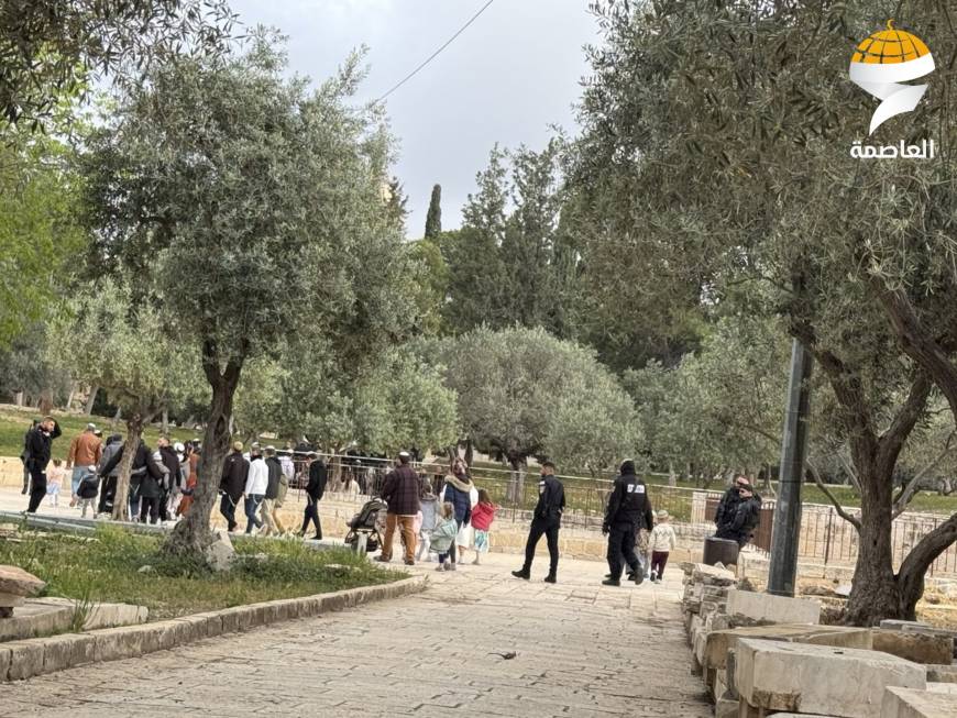 مستوطنون يقتحمون الأقصى ويؤدون طقوسًا تلمودية