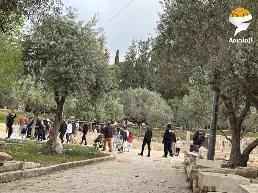 مستوطنون يقتحمون الأقصى ويؤدون طقوسًا تلمودية