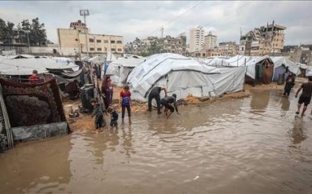 برنامج أممي: الأمطار الغزيرة تفاقم هشاشة الأوضاع بغزة