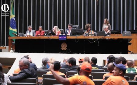 البرازيل تؤكد موقفها الثابت في دعم فلسطين خلال جلسة "اليوم العالمي لحقوق الإنسان"